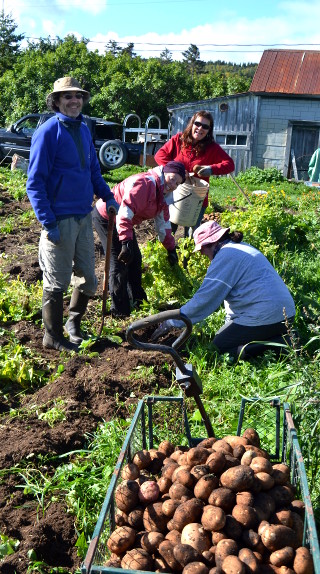 Jardinage